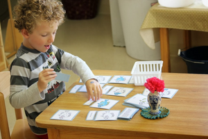 How to use Montessori cards correctly